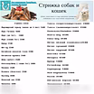 Стрижка собак и кошек в Москве