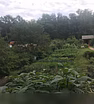 Продам: дачу в Красноярске