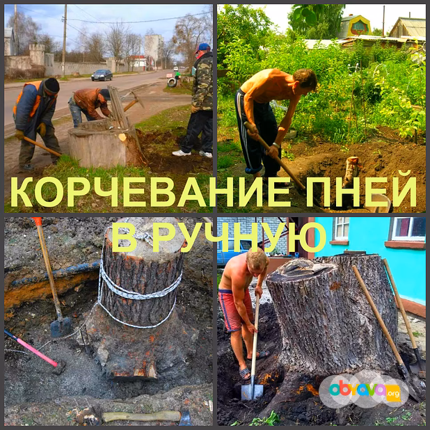 Корчевание Воронеж, корчевание пней в Воронеже