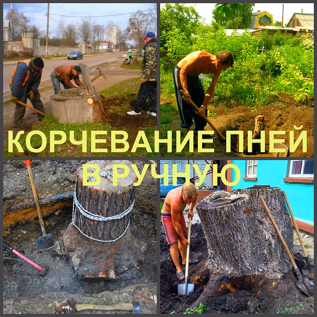 Корчевание Воронеж, корчевание пней в Воронеже