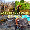 Корчевание Воронеж, корчевание пней в Воронеже