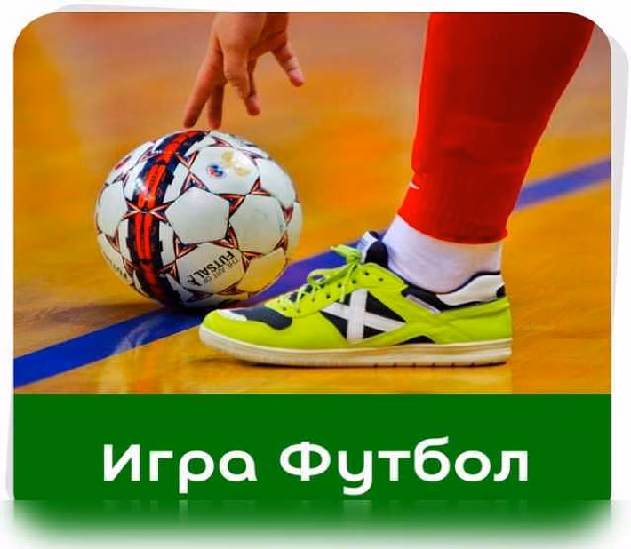 АРЕНА ДРУЖБЫ, зал футбол/волейбол/баск 