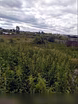 Продам: дом в Каменске-Уральском