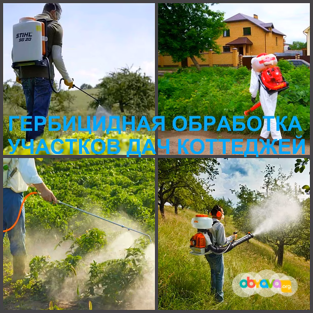 Гербицидная обработка Воронеж, от сорняков в Воронеже