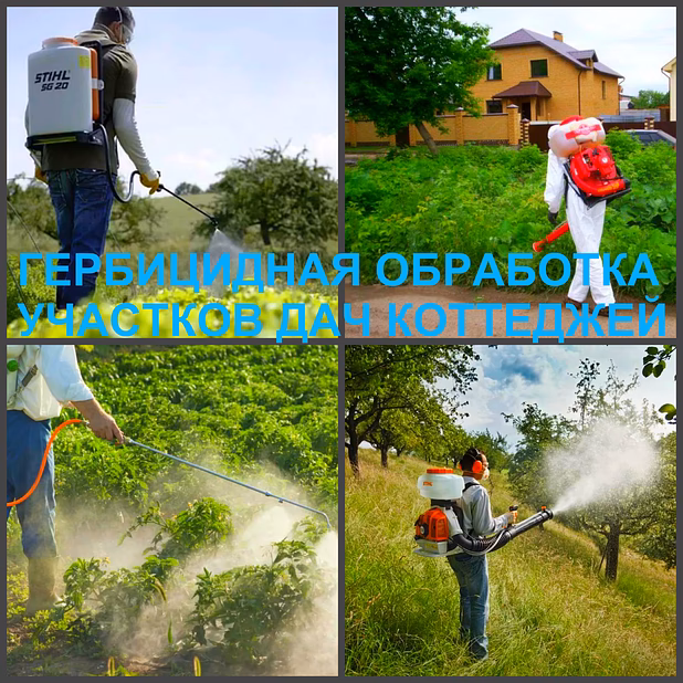 Гербицидная обработка Воронеж, от сорняков в Воронеже