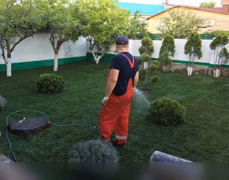 Предложение: озеленение и благоустройство участков в Анапе