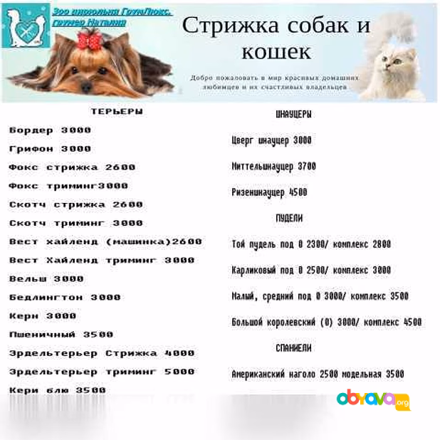 Стрижка собак на дому в Москве