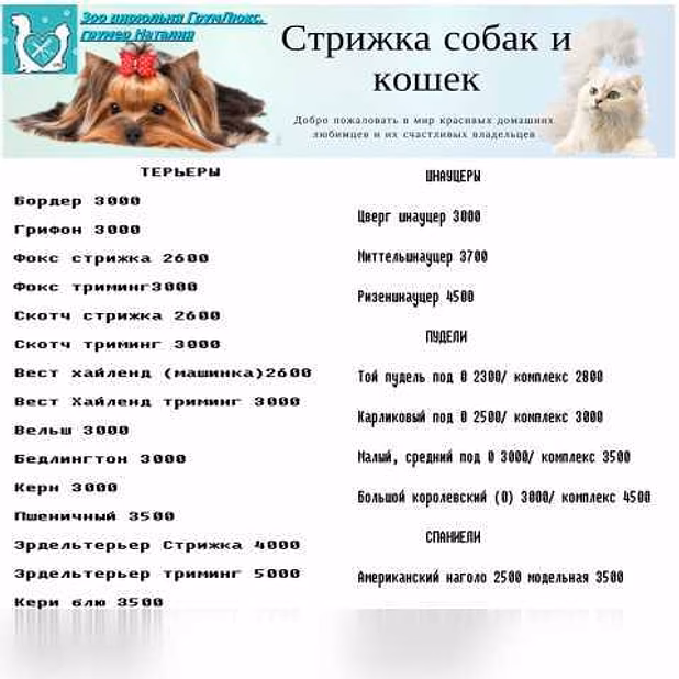 Стрижка собак на дому в Москве