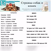 Стрижка собак на дому в Москве