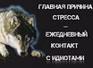 Предложение: ветеринарный врач на дому в Ставрополе