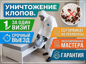 Уничтожение тараканов клопов клещей 