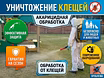 Уничтожение тараканов клопов клещей 