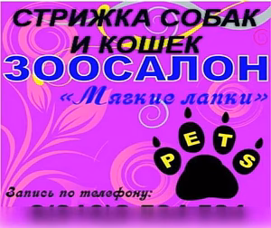 Предложение: стрижка собак, кошек. Зоосалон в Клину