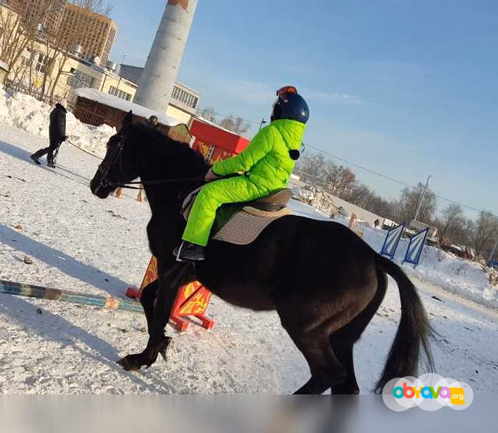Фехтование/верховая езда/лук/метание в Уфе