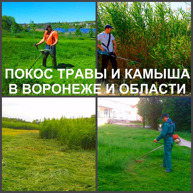 Покос травы Воронеж, косить траву в Воронеже
