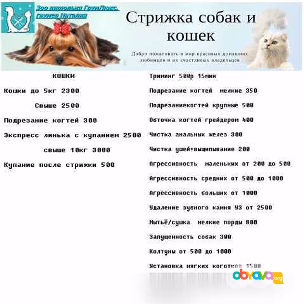 Стрижка собак на дому в Москве