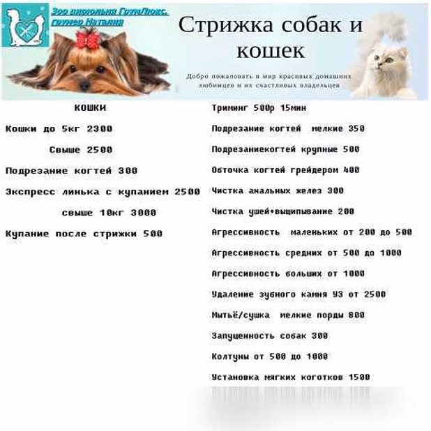 Стрижка собак на дому в Москве