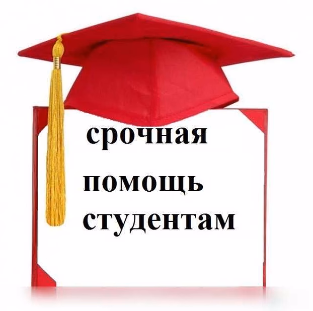 Предложение: написание дипломных и курсовых