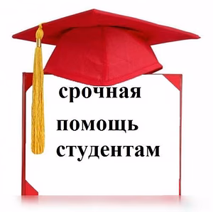 Предложение: написание дипломных и курсовых
