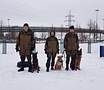 Предложение: дрессировка собак на площадке в Москве