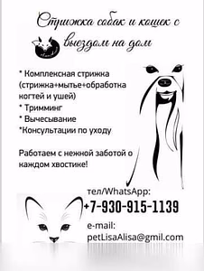 Предложение: стрижка кошек и собак с выездом на дом в Щёлково