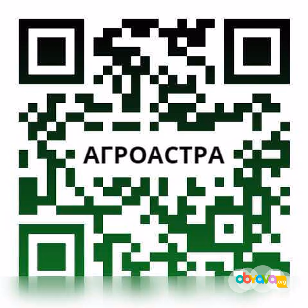 Продам: семена гибридов подсолнечника Байер в Ростове-на-Дону