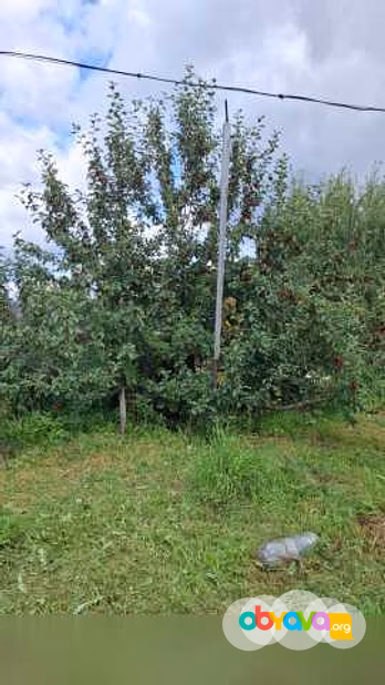 Продам: дачу в Томске