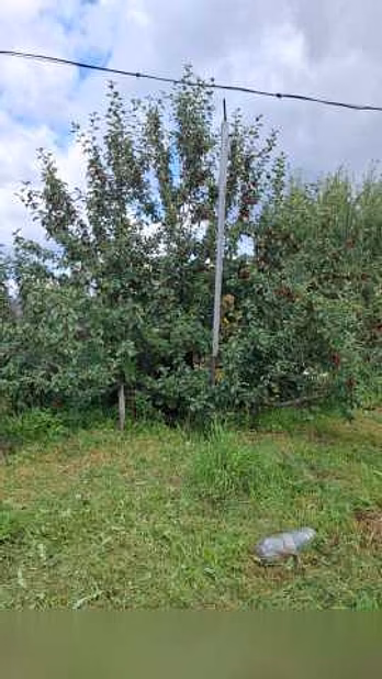 Продам: дачу в Томске