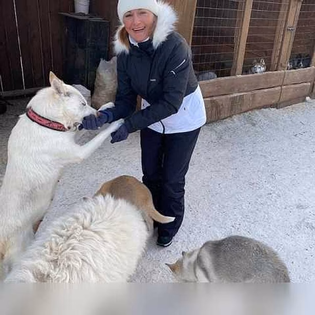 Стрижка собак и кошек в Москве