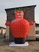 Надувная фигура Фрукты и овощи
