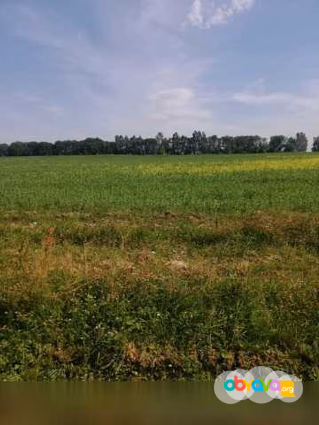 Земля 9 Га под с/х производство Рязань